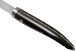Laguiole En Aubrac Gourmet FGO20EBI Boning Knife Ebony Wood 20 Cm -Knife Haven Sales AUFGO20EBI 05 laguiole en aubrac 1
