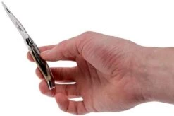 Laguiole En Aubrac Pocket Knife 7 Cm Horn, L0207PCI-SSI1 -Knife Haven Sales AUL0207PCI SSI1 08 laguiole en aubrac aul0207pci ssi1 08