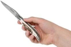 Laguiole En Aubrac 12cm Double Plates, Stag Horn Hand-filed, L0712BCI/FSB1 -Knife Haven Sales AUL0712BCI FSB1 08 laguiole en aubrac