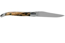 Laguiole En Aubrac 12cm Double Plates, Hand-filed Cactus, L0712CA51-FSI1 -Knife Haven Sales AUL0712CA51 FSI1 02 laguiole en aubrac v202010