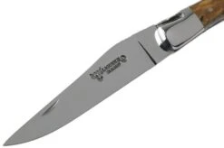 Laguiole En Aubrac 12cm Double Plates, Hand-filed Cactus, L0712CA51-FSI1 -Knife Haven Sales AUL0712CA51 FSI1 03 laguiole en aubrac v202010