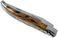 Laguiole En Aubrac 12cm Double Plates, Hand-filed Cactus, L0712CA51-FSI1 -Knife Haven Sales AUL0712CA51 FSI1 04 laguiole en aubrac v202010