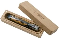 Laguiole En Aubrac 12cm Double Plates, Hand-filed Cactus, L0712CA51-FSI1 -Knife Haven Sales AUL0712CA51 FSI1 08 laguiole en aubrac v202010