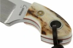 Böker Plus Gnome Stag 02BO268 -Knife Haven Sales BO02BO268 04 boker plus gnome stag bo02bo268 d4