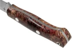Bark River Aurora CPM 3V, Purple Gold Elder Burl Bushcraft Knife -Knife Haven Sales BRK06 122PGEB 04 bark river knives