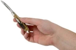 Case Tear Drop Bose Limited XX Edition Honeycomb Bone Russell Jigged, 11978, TB61028 SS Pocket Knife -Knife Haven Sales CE11978 07 case