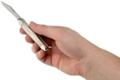 Case Half Whittler Smooth Natural Bone, 13052, 6208 SS Pocket Knife -Knife Haven Sales CE13052 05 case