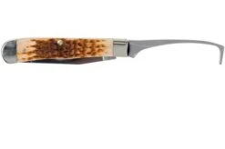 Case Equestrian Amber Jigged Bone, 00144, 6254HP SS Pocket Knife -Knife Haven Sales CE144 03 case ce144 03