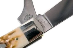 Case Equestrian Amber Jigged Bone, 00144, 6254HP SS Pocket Knife -Knife Haven Sales CE144 06 case ce144 06