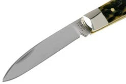 Case Tear Drop, Tang Stamp Series, Peach Seed Jig, Olive Green Bone 21510, TB61028 SS Pocket Knife -Knife Haven Sales CE21510 03 case