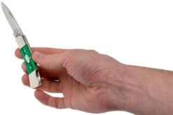 Case Lockback SparXX Green Pearl Kirinite Smooth, 27372, 101225L SS Pocket Knife -Knife Haven Sales CE27372 07 case