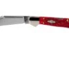 Case Copperhead Dark Red Bone, Peach Seed Jig, 31954, 61749L CV Pocket Knife -Knife Haven Sales CE31954 01 case