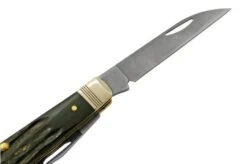 Case Mini Trapper Buffalo Horn 65093, S35VN Pocket Knife -Knife Haven Sales CE65093 05 case