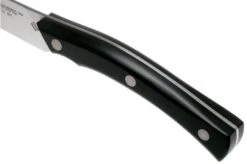 Due Cigni Arne Line Paring Knife 10 Cm, Black -Knife Haven Sales DG2C901 05 due cigni arne