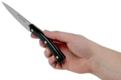 Due Cigni Arne Line Paring Knife 10 Cm, Black -Knife Haven Sales DG2C901 06 due cigni arne