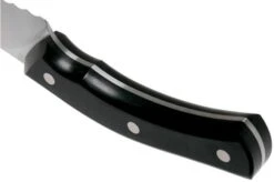 Due Cigni Arne Line Bread Knife 23 Cm, Black -Knife Haven Sales DG2C903 04 due cigni arne