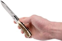 Fallkniven GPs Gentleman's Pocket Knife Stag Horn 17 Fallkniven GPs Gentleman's Pocket Knife Stag Horn -Knife Haven Sales FKGPS 08 fallkniven fkgps 08