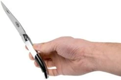 Forge De Laguiole Airbus A350 1211 INAIRBUS Laguiole Knife -Knife Haven Sales LA1211INAIRBUS 07 forge de laguiole