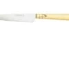 Nontron Traditional Range, 10 Cm TOF10RBU, Paring Knife -Knife Haven Sales NNTOF10RBU 01 nontron