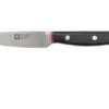 Richardson Sheffield Velocity 123BFCSB3117 Paring Knife, 10.5cm -Knife Haven Sales RFR123BFCSB3117 01 richardsonsheffield