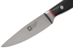 Richardson Sheffield Velocity 123BFCSB3117 Paring Knife, 10.5cm 9 Richardson Sheffield Velocity 123BFCSB3117 Paring Knife, 10.5cm -Knife Haven Sales RFR123BFCSB3117 03 richardsonsheffield