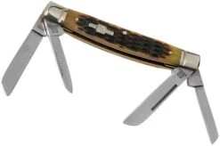 Rough Ryder Congress Amber Bone RR053 Slipjoint Pocket Knife