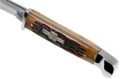 Rough Ryder Small Hunter Amber Bone RR1033 Hunting Knife 13 Rough Ryder Small Hunter Amber Bone RR1033 Hunting Knife -Knife Haven Sales RY1033 05 rough ryder