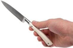Lion Sabatier Edonist Perle Paring Knife 10 Cm, White, 806381 -Knife Haven Sales SA806381 07 lion sabatier edonist perie sa806381 07