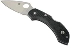 Spyderco Dragonfly 2 C28PBK2 Pocket Knife
