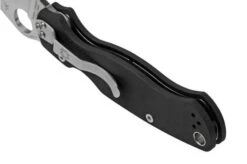 Spyderco Paramilitary 2 C81GP2 Pocket Knife 23 Spyderco Paramilitary 2 C81GP2 Pocket Knife -Knife Haven Sales SPC81GP2 04 spyderco