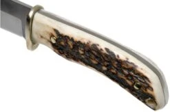 Uncle Henry Stag Horn Fixed Blade 2202UH Hunting Knife 1085923 14 Uncle Henry Stag Horn Fixed Blade 2202UH Hunting Knife 1085923 -Knife Haven Sales UH1085923 05 schrade uncle henry