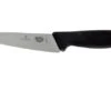 Victorinox Fibrox Office Knife 12 Cm 5.2003.12 -Knife Haven Sales VT5 2003 12 01 victorinox fibrox vt5 2003 12 01