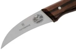 Victorinox Wood 5.3100 Turning Knife, 6 Cm -Knife Haven Sales VT5 3100 03 victorinox