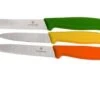 Victorinox SwissClassic Vegetable Knife Set, Set Of 3, 6.7116.31G 1 Victorinox SwissClassic Vegetable Knife Set, Set Of 3, 6.7116.31G -Knife Haven Sales VT6 7116 31G 01 victorinox vt6 7116 31g 01