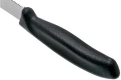 Victorinox SwissClassic 6.8633.21G Bread Knife Black 21 Cm -Knife Haven Sales VT6 8633 21G 04 victorinox