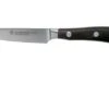 Wüsthof Ikon Paring Knife 9 Cm, 1010530409 -Knife Haven Sales WU1010530409 01 wusthof ikon v202010