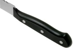 Wüsthof Gourmet Bread Knife 20 Cm, 1025045720 -Knife Haven Sales WU1025045720 05 wusthof v202102