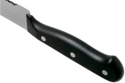 Wüsthof Gourmet Bread Knife 23 Cm, 1025045723 16 Wüsthof Gourmet Bread Knife 23 Cm, 1025045723 -Knife Haven Sales WU1025045723 05 wusthof v202102
