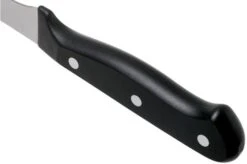 Wüsthof Gourmet Flexible Boning Knife 16 Cm, 1025049316 -Knife Haven Sales WU1025049316 04 wusthof v202106