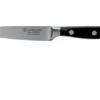 Wüsthof Classic Paring Knife 10 Cm, 1040100410 -Knife Haven Sales WU1040100410 01 wusthof classic v202009