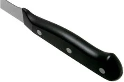 Wüsthof Gourmet Salmon Knife 29 Cm, 1045047029 -Knife Haven Sales WU1045047029 04 wusthof v202102