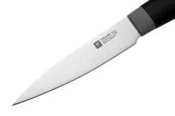 Zwilling Now S 1009647 Paring Knife, 10 Cm -Knife Haven Sales ZW1009647 03 zwilling