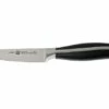 Zwilling 30340-101 Twin Cuisine Peeling And Garnish Knife -Knife Haven Sales ZW30340 101 01 zwilling twin cuisine zw30340 101 d1