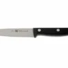 Zwiling 34910-101 Twin Chef Peeling Knife -Knife Haven Sales ZW34910 101 01 zwilling twin chef zw34910 101 d1