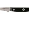Zwilling Gourmet Turning Knife 6 Cm, 36110-061