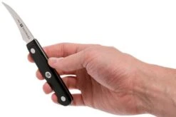 Zwilling Gourmet Turning Knife 6 Cm, 36110-061 -Knife Haven Sales ZW36110 061 0 06 zwilling gourmet zw36110 061 0 06