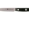 Zwilling Gourmet Paring Knife 10 Cm, 36110-101 -Knife Haven Sales ZW36110 101 0 01 zwilling gourmet zw36110 101 0 01