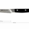 Zwilling Pro Paring Knife, 38400-091 -Knife Haven Sales ZW38400 091 01 zwilling pro zw38400 091 01