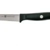 Zwilling Life Vegetable Knife, 38580-091-0 -Knife Haven Sales ZW38580 091 0 01 zwilling life zw38580 091 0 01